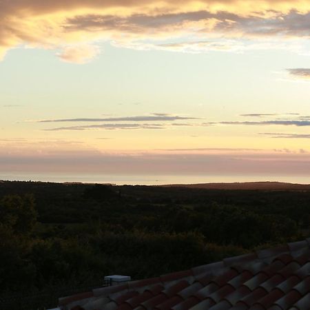 Villa Carolus-Luxurious Istrian Villa Barat  ภายนอก รูปภาพ
